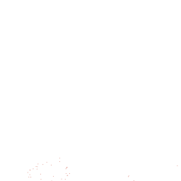 banner-image